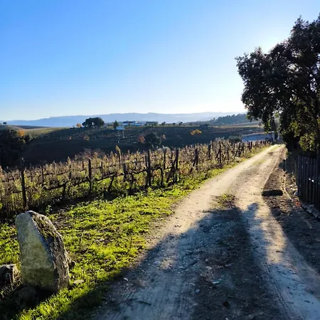 Quinta Olgas * Favaios