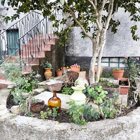 Apartament Quinta Olgas *