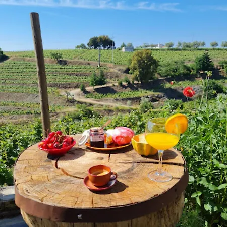 Quinta Olgas Favaios