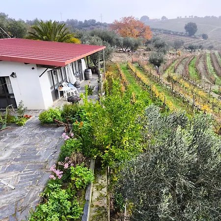 Apartament Quinta Olgas