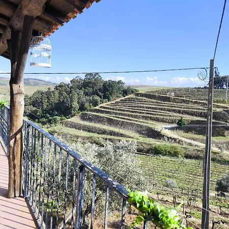Quinta Olgas *