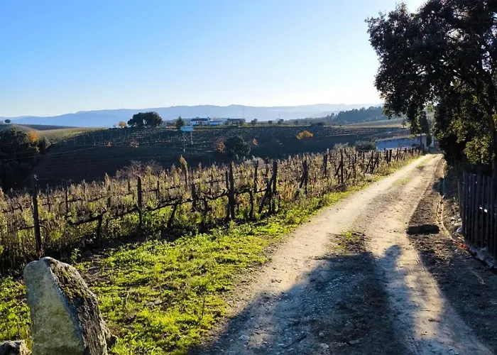 Quinta Olgas * Favaios