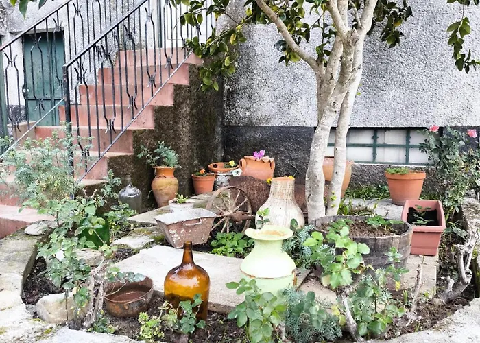 Daire Quinta Olgas *