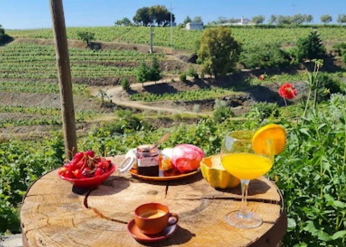 Quinta Olgas Favaios