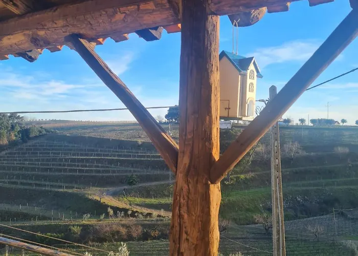 Quinta Olgas Daire *